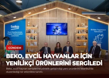 news card 997d38f0ab41aaeb