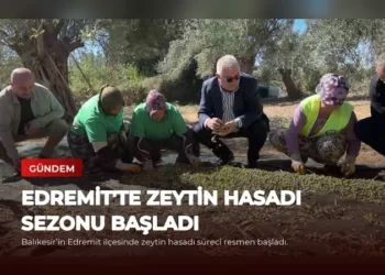 news card 9d4ded7873b58137