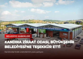 news card 9d9d24bc7d1c4fff