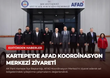news card a2493512a0fca180