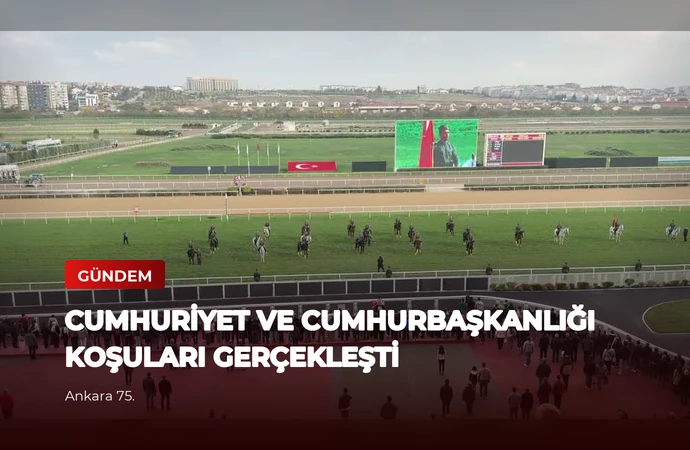 news card a5646293b2d8ea6f