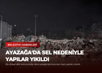 news card a9a82d7c26d3788e