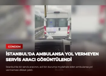 news card aa8b1315e7e4ec1c