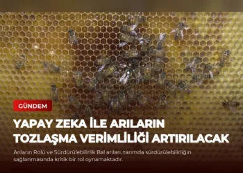news card abfccec33174612d