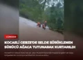 news card ae80136e7d539c60
