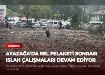 news card af9d4fc313ba717b