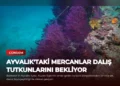 news card b0e2e5efe2e988a2