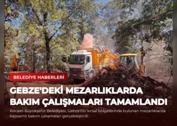 news card b157429c22adf298
