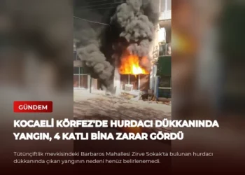 news card b1bd68b0d953c711