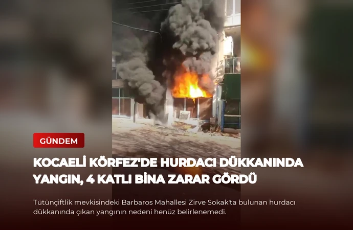 news card b1bd68b0d953c711