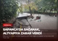 news card b1e5ad5ca801b3ce