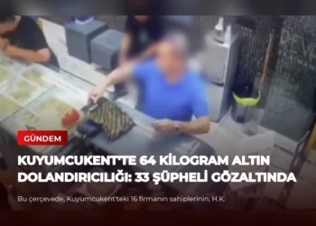 news card b3bfe1c89a3e6549