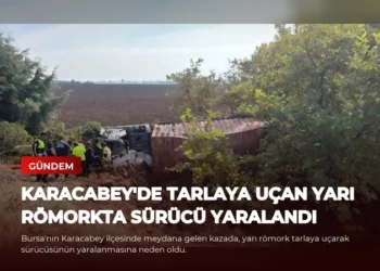 news card b56e44361d9d86e0