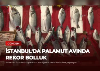 news card b59e70214beb9ed7