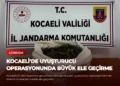 news card b678f3740c01334e