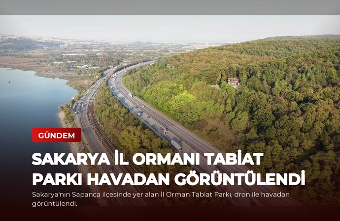 news card b71d20d67067a499