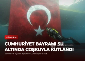 news card b8516c39d27f5d19