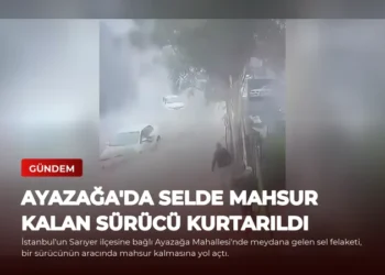 news card be6b1de056f99c17