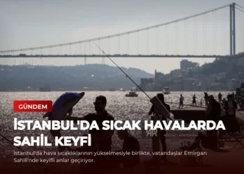 news card c0affd7f7f1791d1