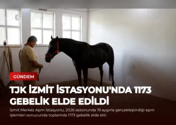 news card c167add5d31367ab