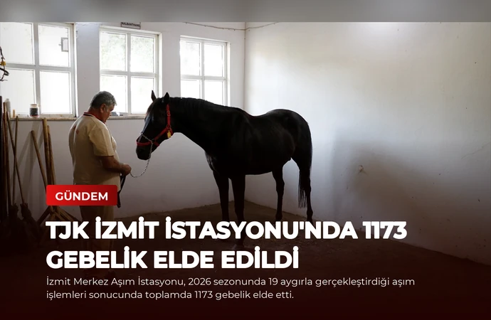news card c167add5d31367ab