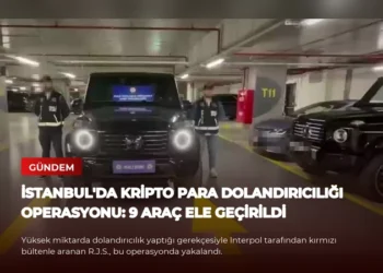 news card c28b110e2542ff3b