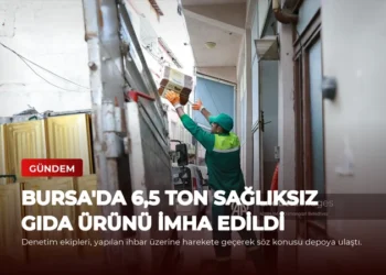 news card c2d789db234d933e