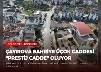 news card c66b3f3370f15609