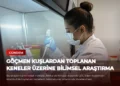 news card c91aa1e3f8ec1f5c