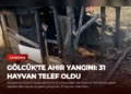 news card c9f04e261f85e3b8