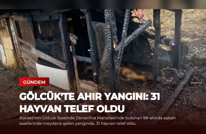 news card c9f04e261f85e3b8