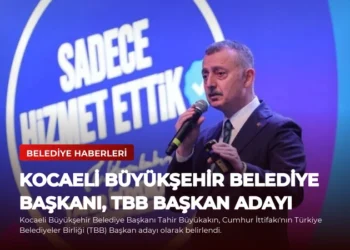 news card cbb385b5859692c8