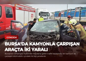 news card cd1d0dd7f6e7c5b7