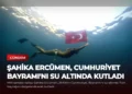 news card cdb0befd6bbaf9f0