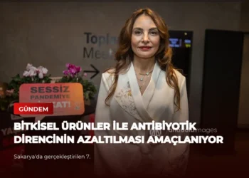 news card d0f12de0739f2000