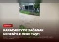 news card d1e138d83654916c