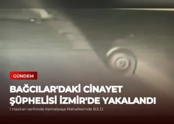news card d2fdf84eee030019