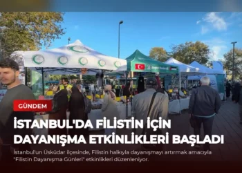 news card d312e2c2dc7a7e59