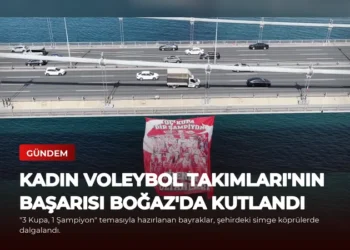 news card d63c78931df89413