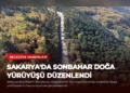 news card d77f407c4034287d