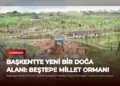 news card d86d49f53819e639