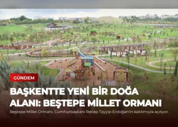 news card d86d49f53819e639
