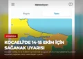 news card d909b1923ab744b8