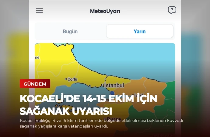 news card d909b1923ab744b8