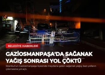news card dc35bfd792b77a81