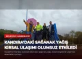 news card e019cd49d6994401