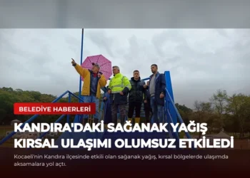 news card e019cd49d6994401
