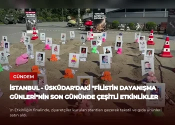 news card e3dea2065123875d