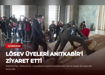 news card e5b8d4dd7782d858