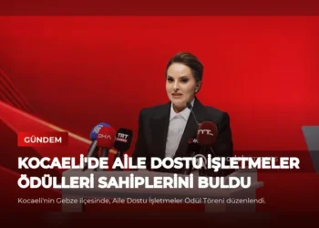news card e69829640b9faf7a
